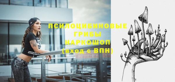 бошки Абдулино