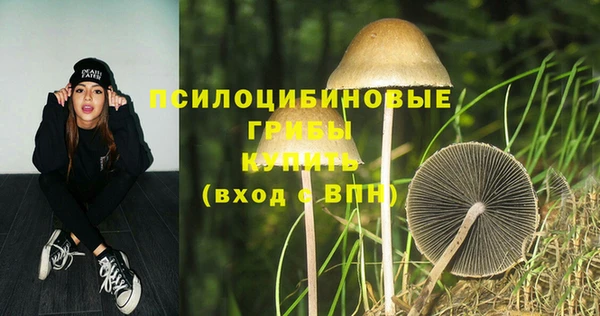 бошки Абдулино